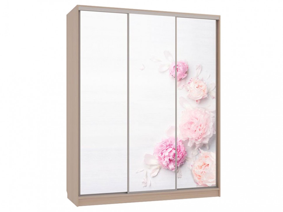 Шкаф-купе Бассо 7 Цветы