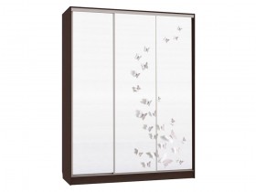Шкаф-купе Бассо 7 Бабочки