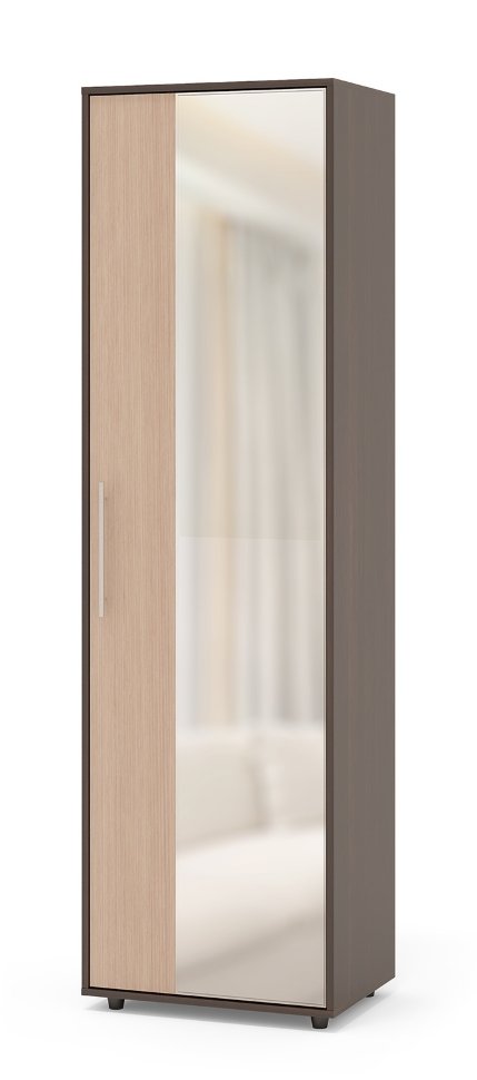 Распашной шкаф ШО-2