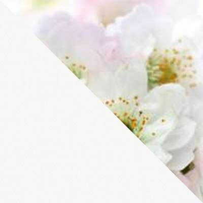 Кухонный стол Ривьера ФП