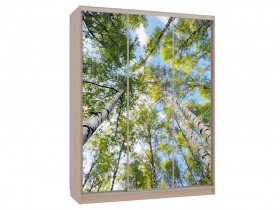 Шкаф-купе Бассо 7 Деревья