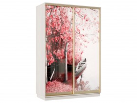 Шкаф-купе Маршал