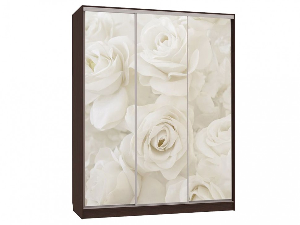 Шкаф-купе Бассо 7-600 розы