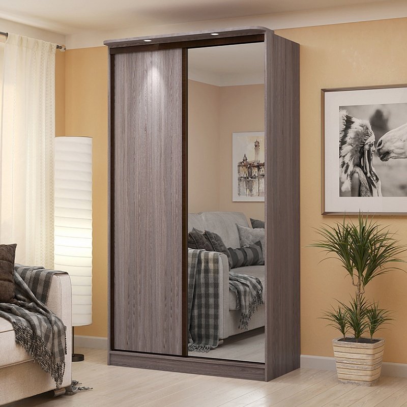 Шкаф-купе с зеркалом Домашний 303