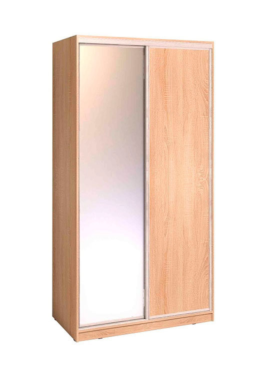 Шкаф-купе с зеркалом Домашний 303