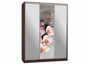 Шкаф-купе Бассо 9 Цветы