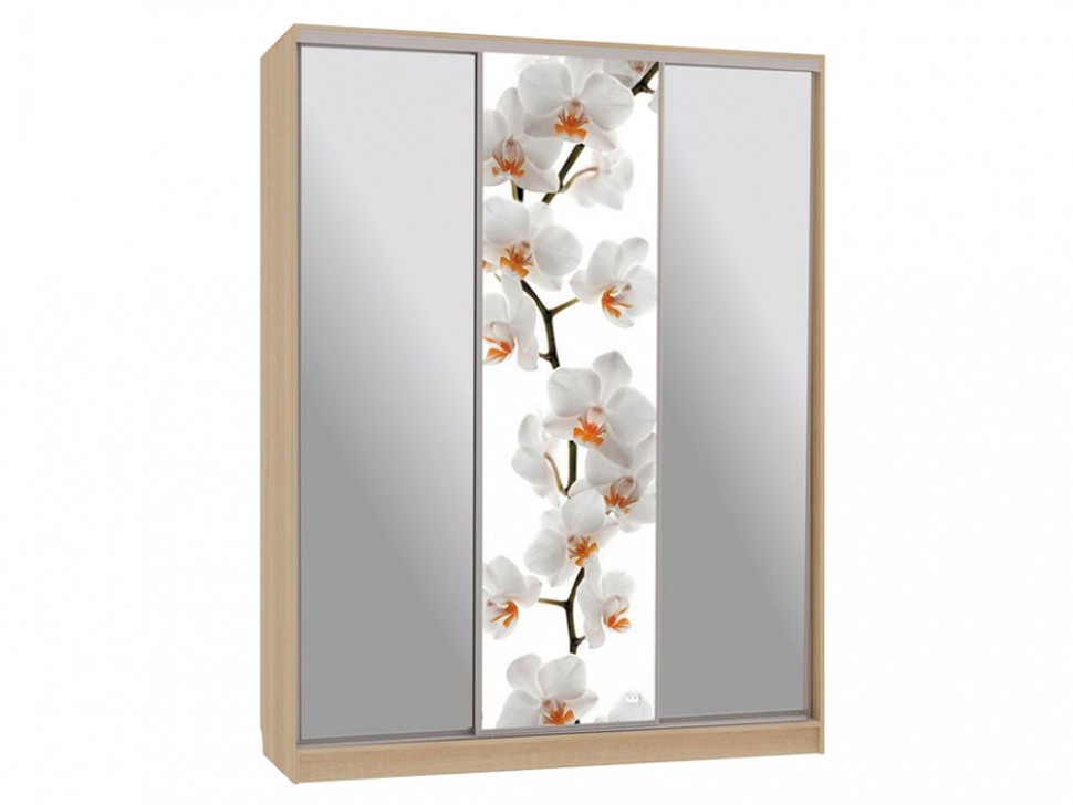 Шкаф-купе Бассо 9-600 83