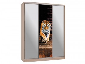 Шкаф-купе Бассо 9 Тигр