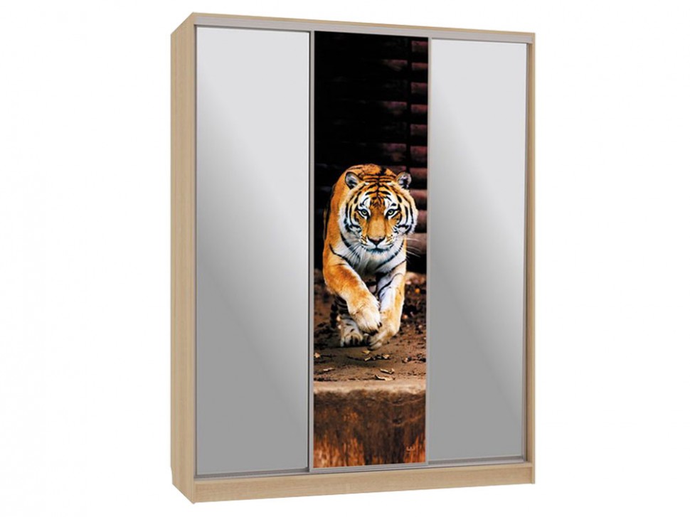 Шкаф-купе Бассо 9 Тигр