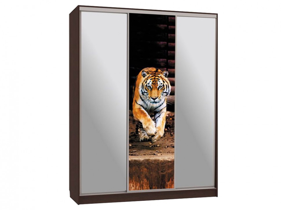 Шкаф-купе Бассо 9 Тигр