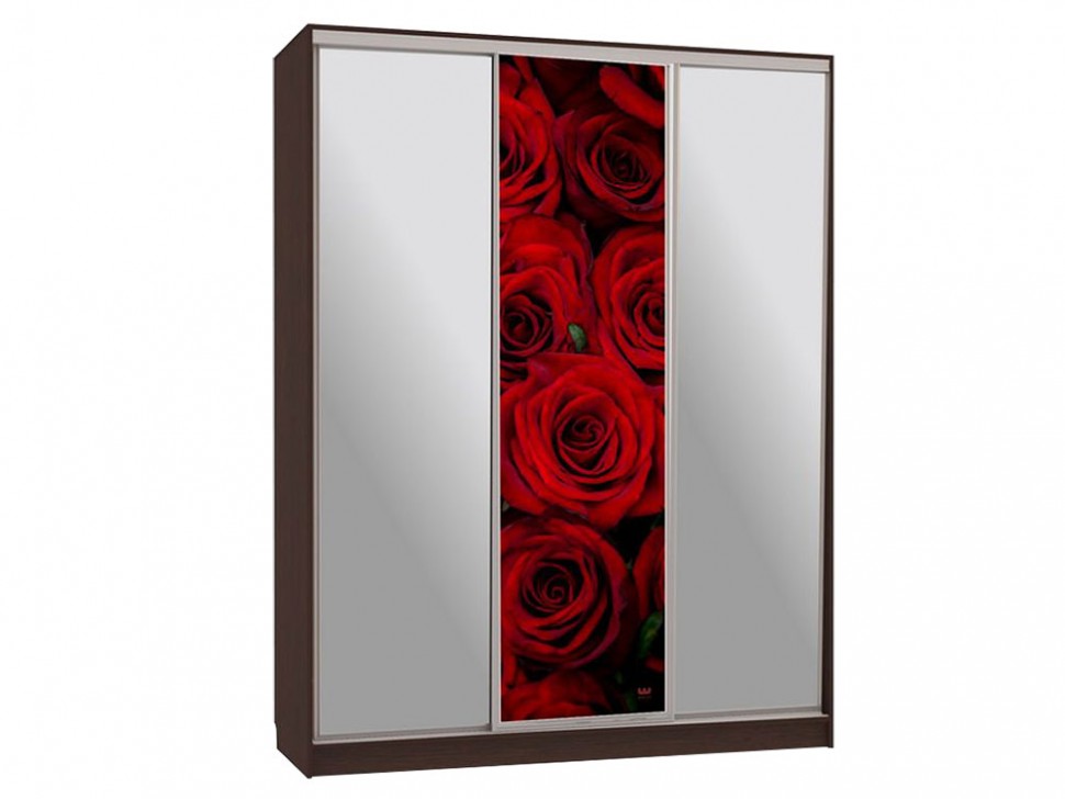 Шкаф-купе Бассо 9 Красные розы