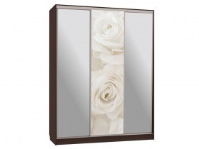 Шкаф-купе Бассо 9 Белые розы