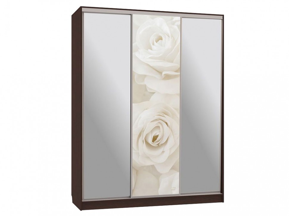 Шкаф-купе Бассо 9 Белые розы