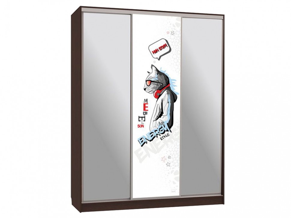 Шкаф-купе Бассо 9 Энерджи