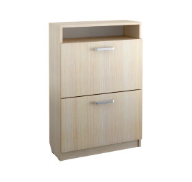 Обувница Челси