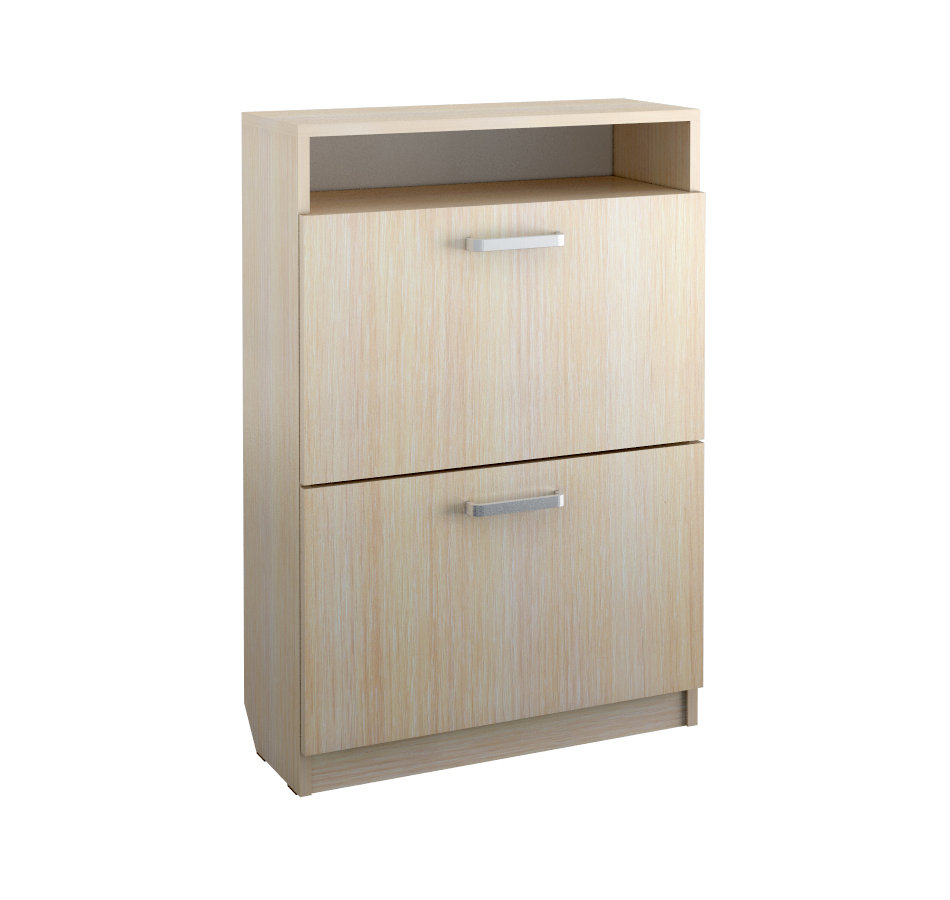 Обувница Челси