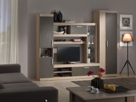 Гостиная Макси