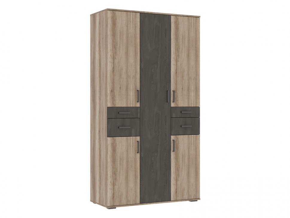 Распашной шкаф Нельсон 2