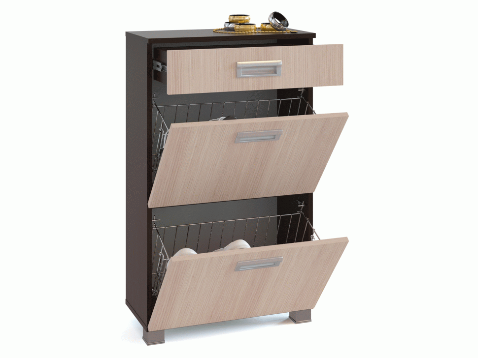 Шкаф для обуви ТО-2М