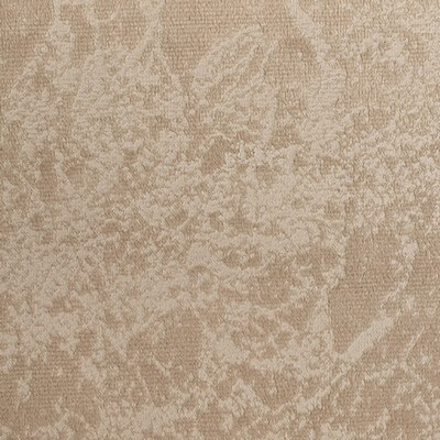 Велюр рельефный XN1582-5