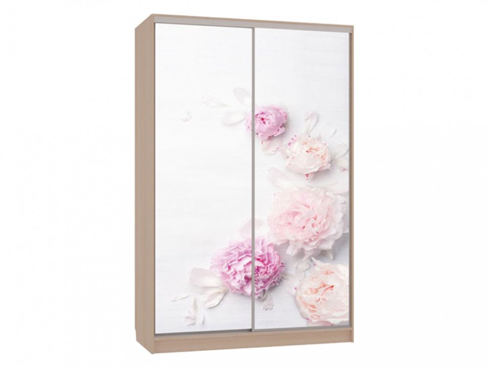 Шкаф-купе Колорадо 7 Цветы