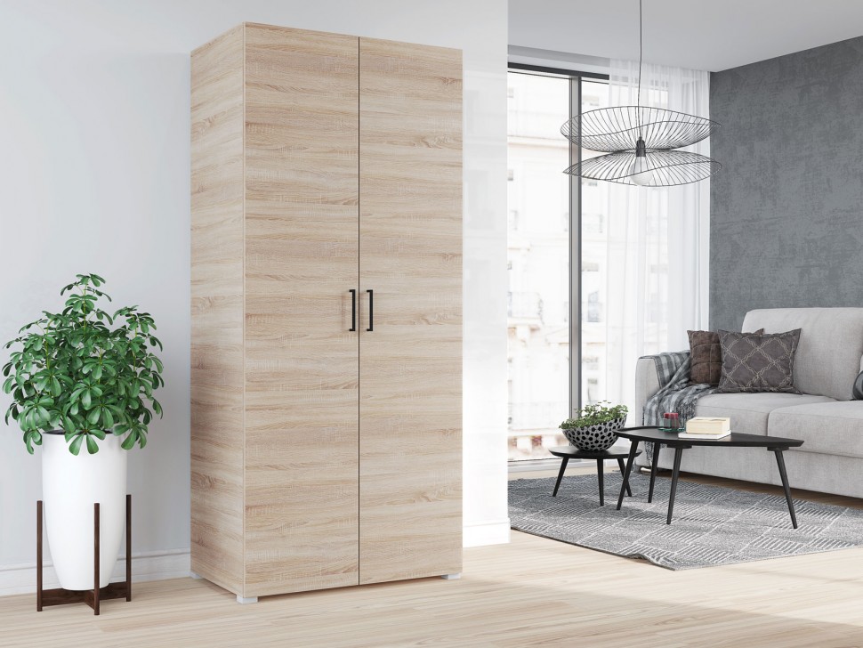 Распашной шкаф Шкаф 2 дв Виктор