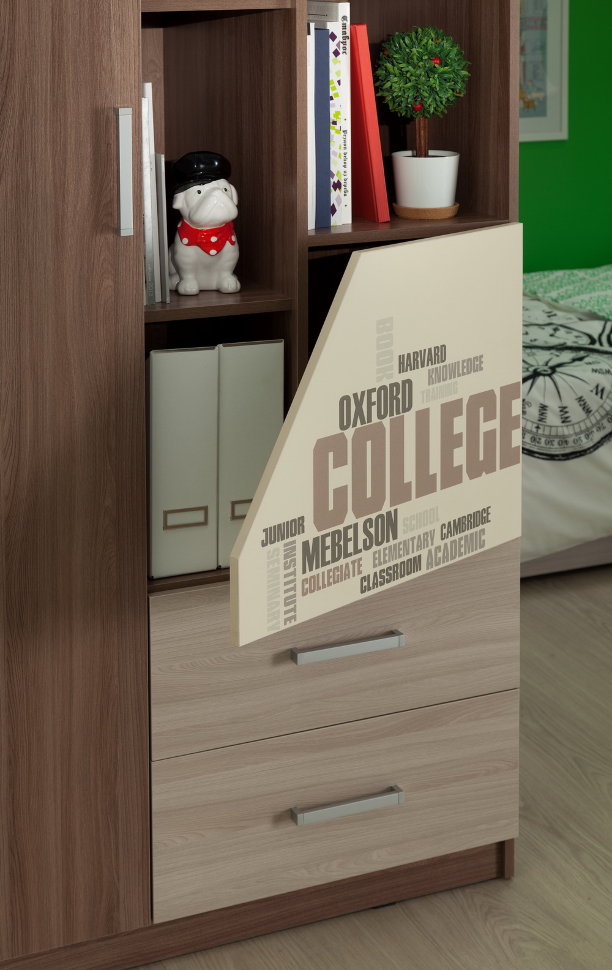 Комбинированный шкаф Колледж Шкаф комбинированный