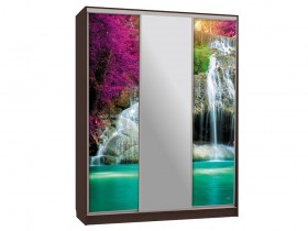 Шкаф-купе Бассо 10-600 49