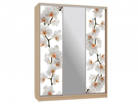 Шкаф-купе Бассо 10 Цветы