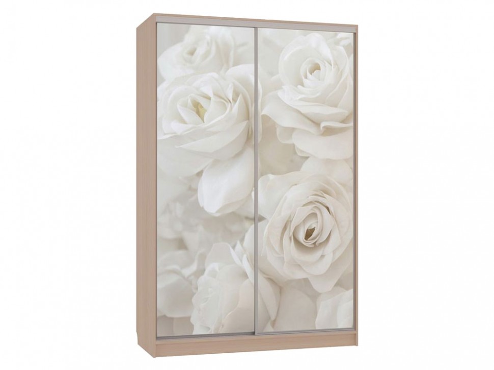 Шкаф-купе Колорадо 7 Розы