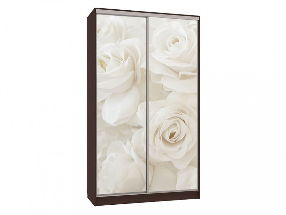 Шкаф-купе Колорадо 7 Розы