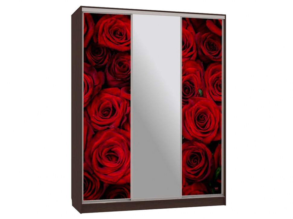 Шкаф-купе Бассо 10-600 89