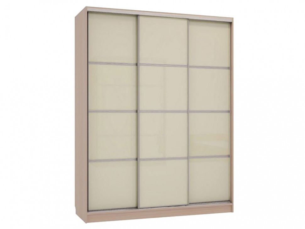 Шкаф-купе Бассо 2