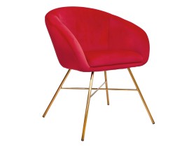 Стул Стул AMUR