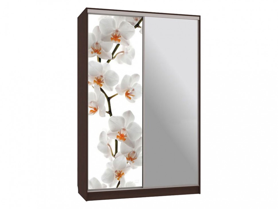 Шкаф-купе Колорадо 9 Цветы 2