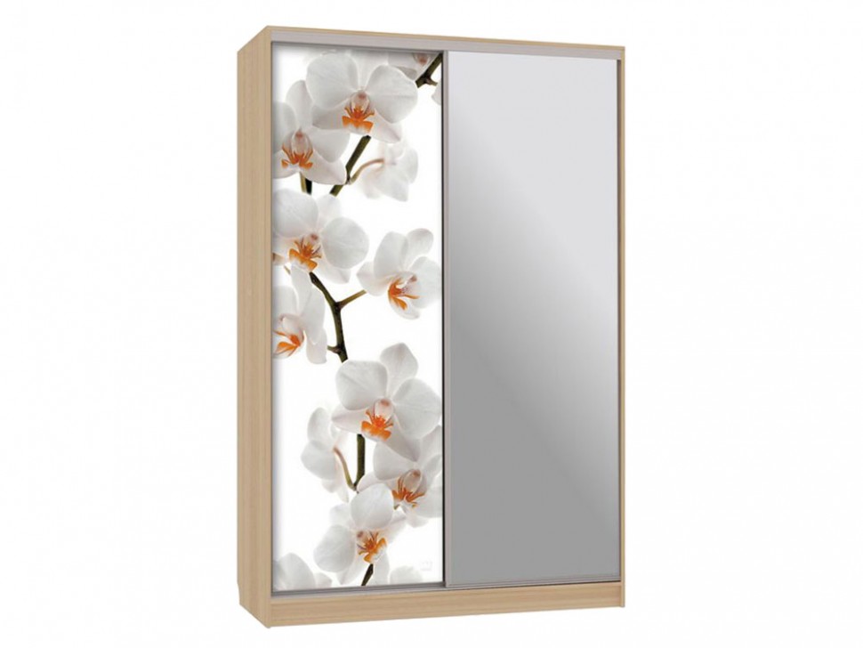 Шкаф-купе Колорадо 9 Цветы 2