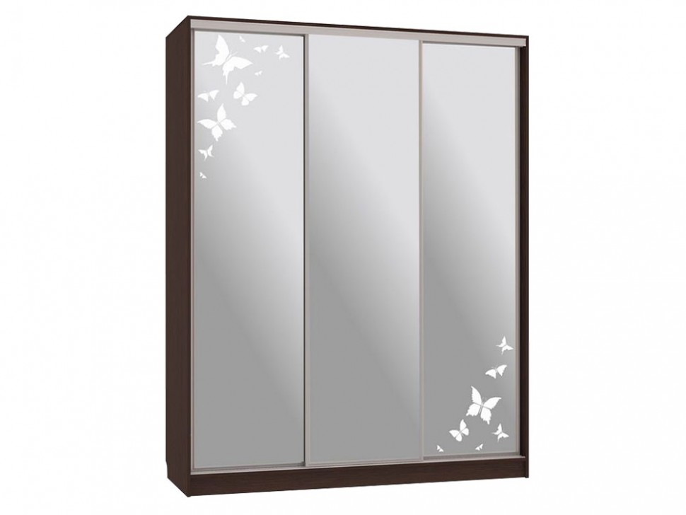 Шкаф-купе Бассо 4 Бабочки