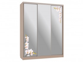 Шкаф-купе Бассо 4 Орхидеи