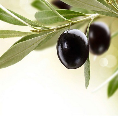 Стол-книжка Стол-книжка Фиеста